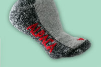 ALPACA_SHOW_HIGHCALF