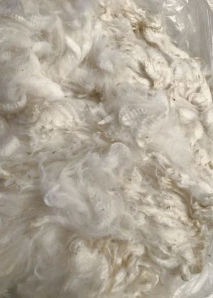Raw Fleece